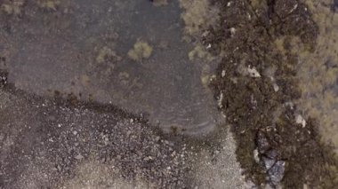 Dalgaların alçak deniz manzarası. Kayalardan ve yosunlardan oluşan alçak sularda mavi bir tekne. Düşük gelgitte İrlanda kıyı şeridine insansız hava aracı bakış açısı. Yüksek kalite 4k görüntü