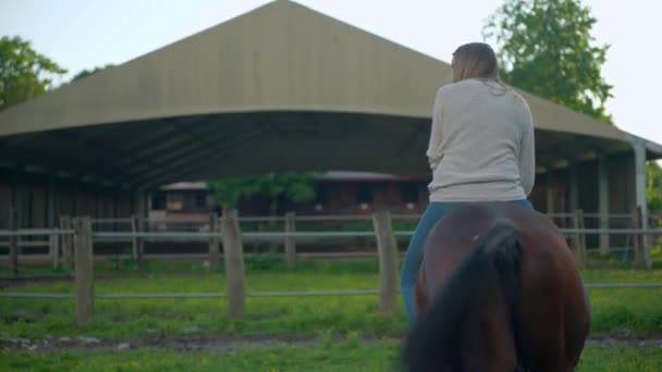 Молода Жінка Вчиться Кататися Коні Коричневий Кінь Ходить Арені Гонщиком — стокове відео