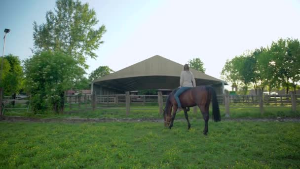 Jovem Aprende Montar Cavalo Cavalo Brawn Andando Uma Arena Com — Vídeo de Stock