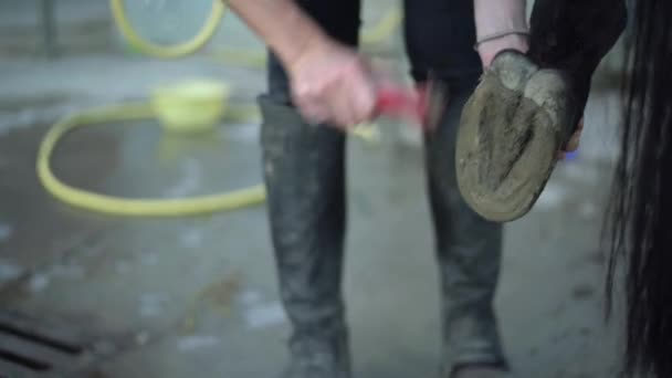 Fiatal Tisztítja Patát Edzés Előtt Női Farmer Tisztítja Cipőjét Vigyáz — Stock videók