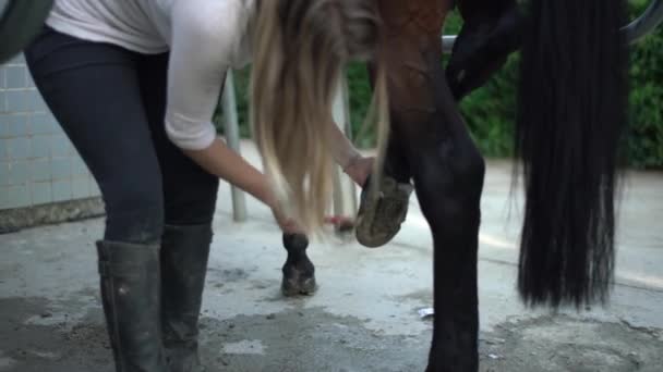 Fiatal Tisztítja Patát Edzés Előtt Női Farmer Tisztítja Cipőjét Vigyáz — Stock videók