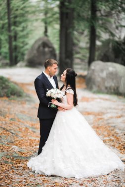 Parkta kucaklaşan yeni evli çiftin güzel romantik düğünü.