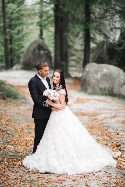 Parkta kucaklaşan yeni evli çiftin güzel romantik düğünü. — Stok fotoğraf