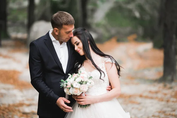 Mooi romantisch huwelijk paar van pasgetrouwden knuffelen in park — Stockfoto
