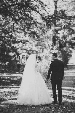 Düğün günü el ele tutuşan çift, damat ve gelin.