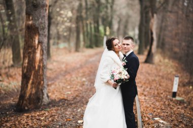 Romantik düğün anı, yeni evli çiftin gülümseyen portresi, gelin ve damadın kucaklaşması