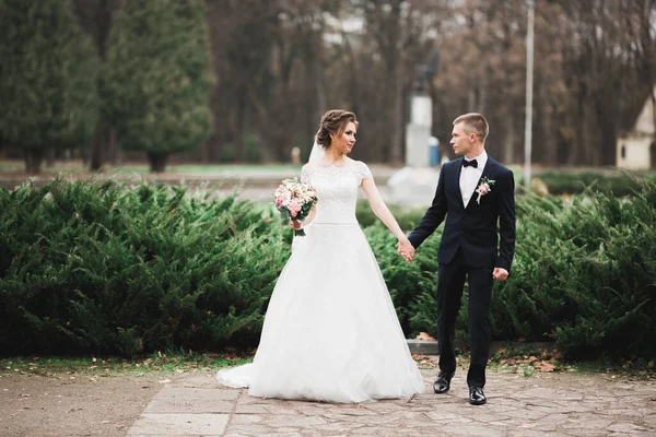 Düğün günü el ele tutuşan çift, damat ve gelin.