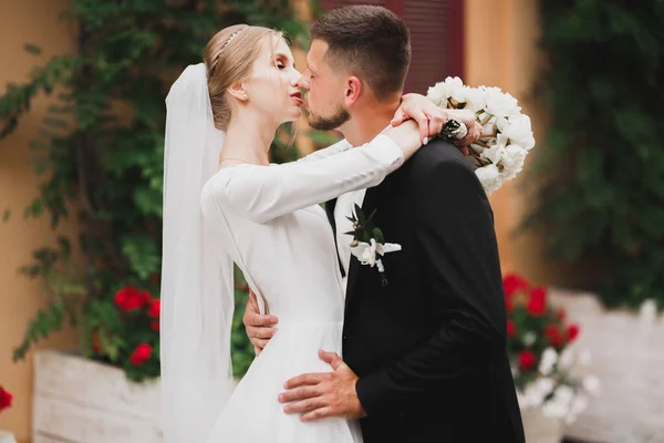 Прекрасные невеста и жених обнимаются и целуются в день свадьбы — стоковое фото