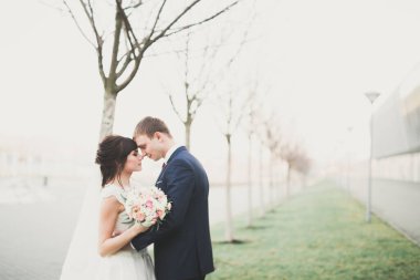 Muhteşem bir düğün çifti eski Lviv şehrinde yürüyor.