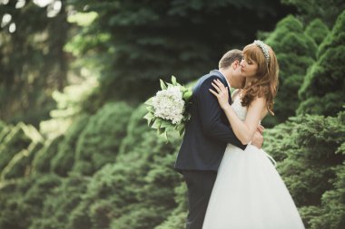 Güzel romantik bir çift yeni evliler gün batımında parkta sarılıyorlar.