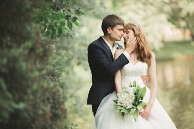 Botanik parkında yürüyen mutlu bir çift.