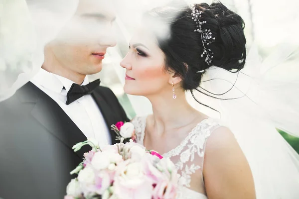 Küssendes Hochzeitspaar im Frühling in Nahaufnahme — Stockfoto