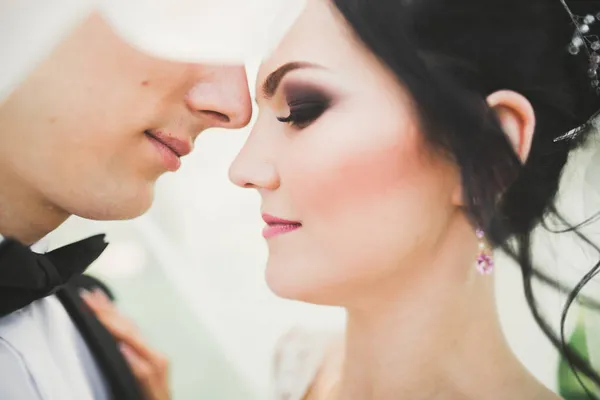 Kyssar bröllop par i vår natur närbild porträtt — Stockfoto
