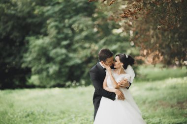 Mutlu düğün çift büyüleyici damat ve mükemmel gelin parkta poz