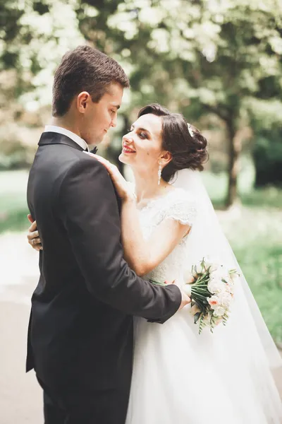幸せな結婚式カップル魅力的な新郎と公園でポーズをとる完璧な花嫁 — ストック写真