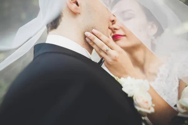 Felice matrimonio coppia affascinante sposo e sposa perfetta in posa nel parco — Foto Stock