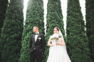 Botanik parkında yürüyen mutlu bir çift.