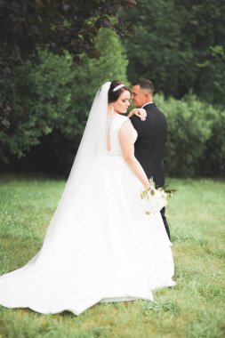 Mükemmel bir çift gelin ve damat düğün günlerinde poz verip öpüşürler.