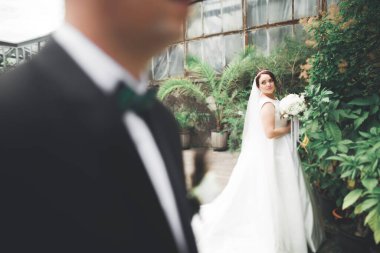 Güzel, mutlu bir düğün çifti, güzel şehirde uzun beyaz elbiseli bir gelin.