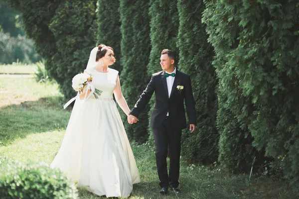 Glückliches Hochzeitspaar beim Spaziergang in einem botanischen Park — Stockfoto