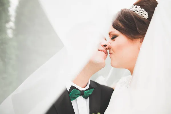 Wedding couple bride and groom holding hands — Stock Photo, Image