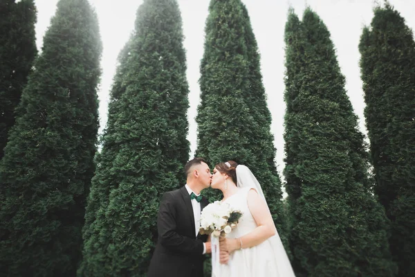 ロマンチックでおとぎ話、幸せな新婚カップル抱擁と公園でキス、背景の木 — ストック写真