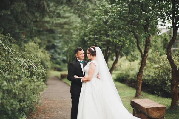 Bruidspaar bruid en bruidegom hand in hand — Stockfoto