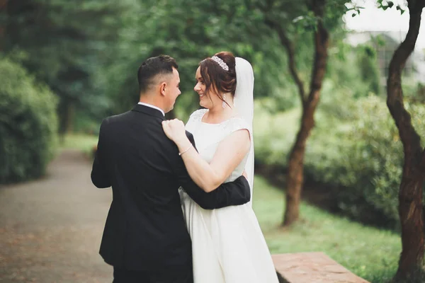 Romantisches, märchenhaftes, glückliches Brautpaar, das sich im Park umarmt und küsst, Bäume im Hintergrund — Stockfoto