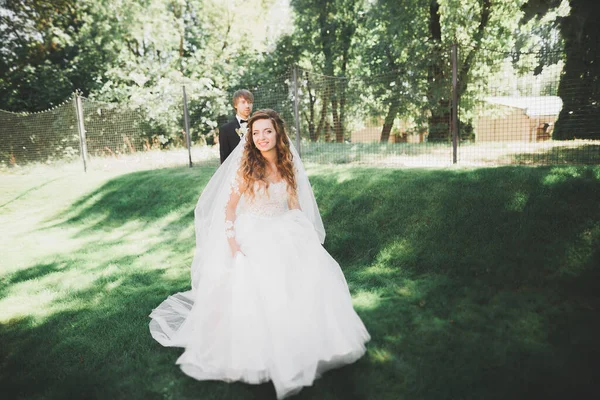 Güzel romantik bir çift yeni evliler gün batımında parkta sarılıyorlar. — Stok fotoğraf