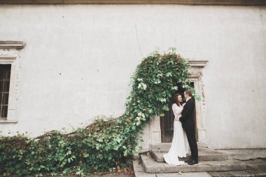 Güzel, romantik bir düğün. Yeni evliler. Eski kalenin yakınlarında sarılıyorlar.