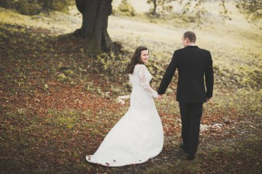 Genç ve güzel bir çift parkta öpüşüyor ve gülümsüyor.