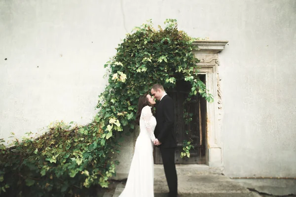 官能的な結婚式のカップル、古いスラブの城の前に抱きつくバレンタイン — ストック写真