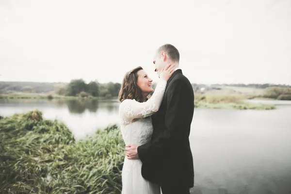 Perfect couple bride, groom posing and kissing in their wedding day — Stock Photo, Image