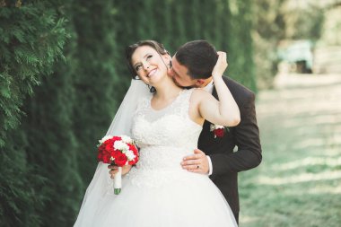 Botanik parkında yürüyen mutlu bir çift.