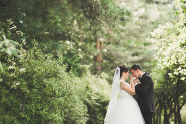 Botanik parkında yürüyen mutlu bir çift.