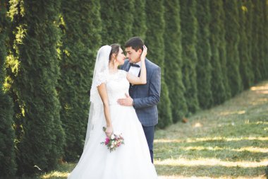 Mükemmel bir çift gelin ve damat düğün günlerinde poz verip öpüşürler.