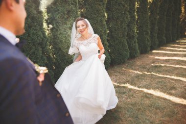 Mükemmel bir çift gelin ve damat düğün günlerinde poz verip öpüşürler.