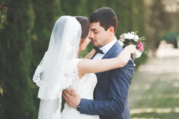 Coppia perfetta sposa, sposo posa e baci nel loro giorno del matrimonio — Foto Stock