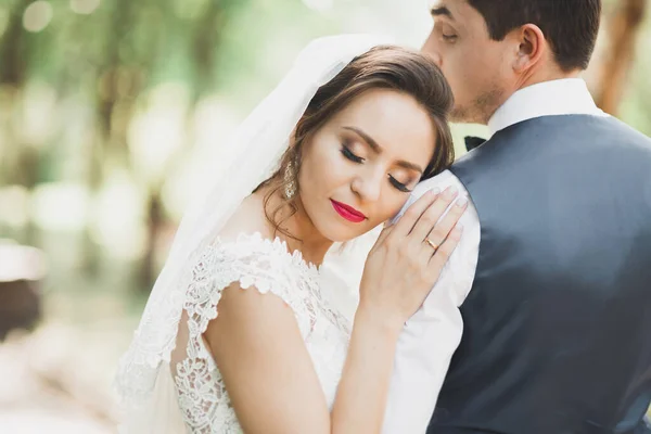 Primo piano di una bella giovane coppia di sposi — Foto Stock