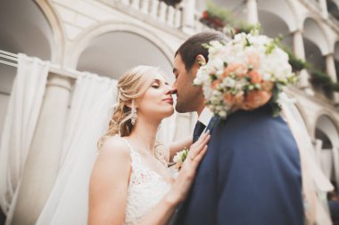 Muhteşem bir düğün çifti eski Lviv şehrinde yürüyor.