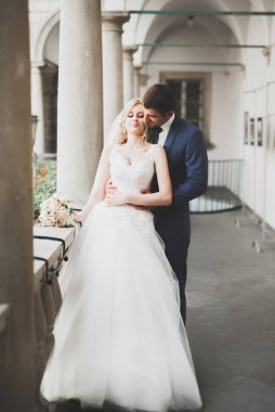 Muhteşem bir düğün çifti eski Lviv şehrinde yürüyor.