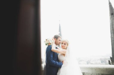 Muhteşem bir düğün çifti eski Lviv şehrinde yürüyor.