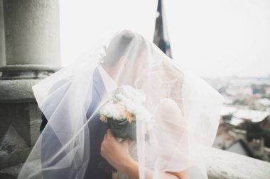 Muhteşem bir düğün çifti eski Lviv şehrinde yürüyor.