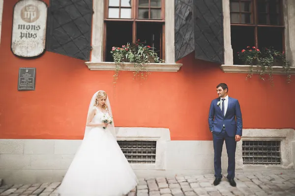 Muhteşem bir düğün çifti eski Lviv şehrinde yürüyor. — Stok fotoğraf