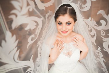 Tüylü, lüks makyaj, saç stili, stüdyo içi fotoğraf çekimi olan güzel bir gelin.