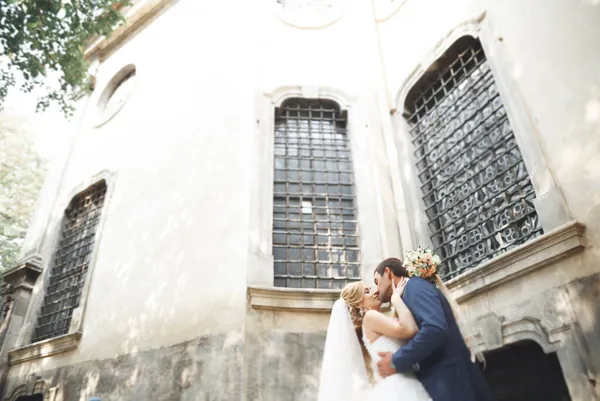 Hermosa pareja de boda caminando en la ciudad vieja de Lviv —  Fotos de Stock