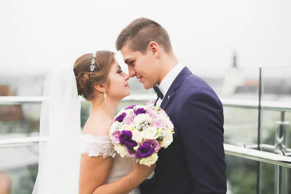 Coppia perfetta sposa, sposo posa e baci nel loro giorno del matrimonio — Foto Stock