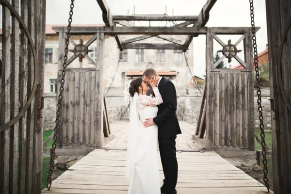 Nanılmaz Mutlu Nazik Stil Güzel Romantik Beyaz Çift Arka Planda — Stok fotoğraf