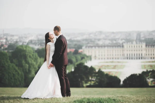 Pas getrouwd stel loopt en springt in het park terwijl ze elkaars hand vasthouden — Stockfoto