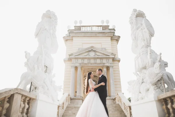 Perfektes Paar Braut, Bräutigam posiert und küsst sich am Hochzeitstag — Stockfoto